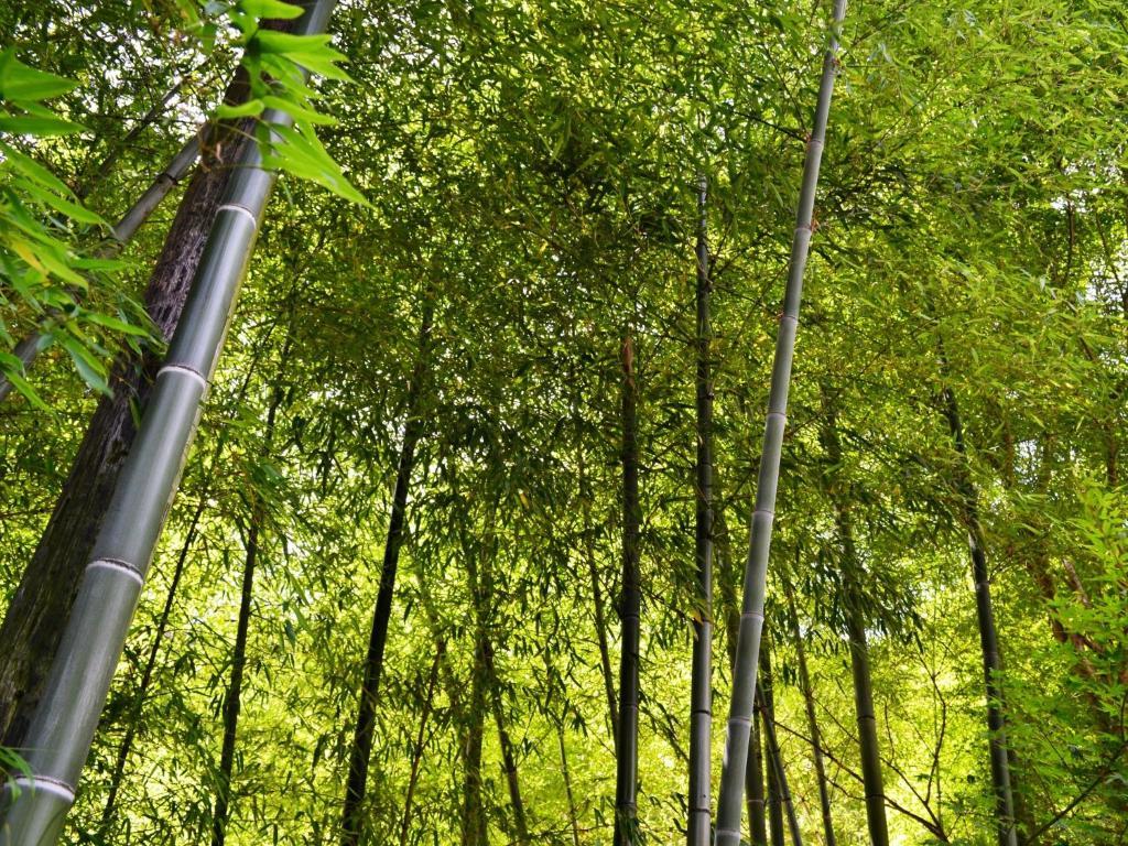 โรงแรม รีซอร์เปีย อะตามิ อาตามิ ภายนอก รูปภาพ